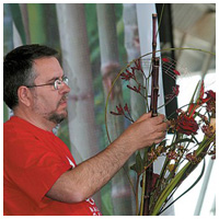 Rafael trabajando