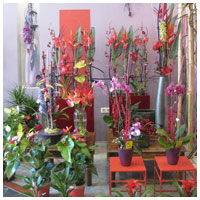 Interior tienda