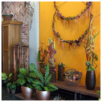 Interior tienda