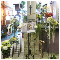 Interior tienda
