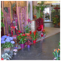 Interior tienda