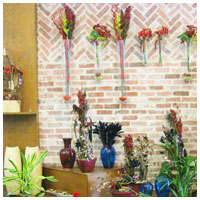 Interior tienda