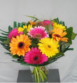 GERBERA