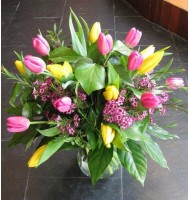 TULIPANES