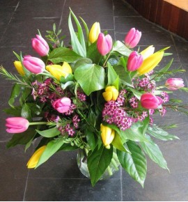 TULIPANES