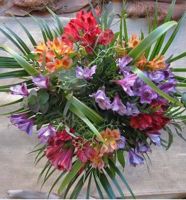 ALSTROEMERIA