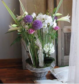CESTA ALBA