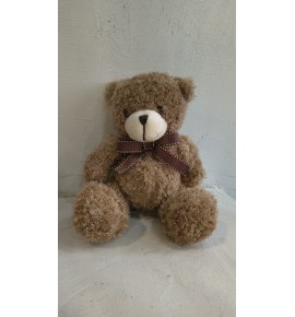 OSO PELUCHE