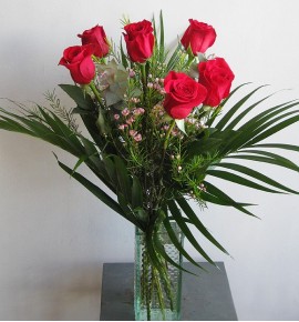 6 ROSAS